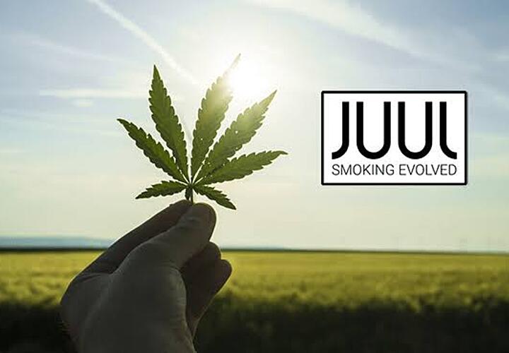 最も欲しかった 大麻味烟油1518 大麻味烟油